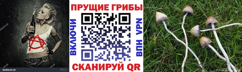 Псилоцибиновые грибы мухоморы Тихвин